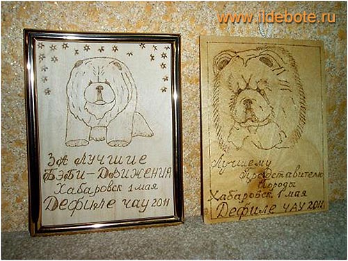 подарки чау-чау подарки чау-чау