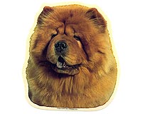 maximize chow-chow souvenir