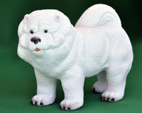 maximize chow-chow souvenir