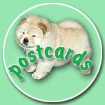 Chow-chow postcards of chow chow kennel Russia IL DE BOTE