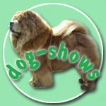 Dog shows