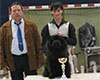 photo of chow chow kennel Russia IL DE BOTE Khabarovsk