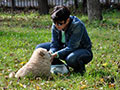 Chow-chow puppy Sa-Kou Ginger VICEROI in Khabarovsk